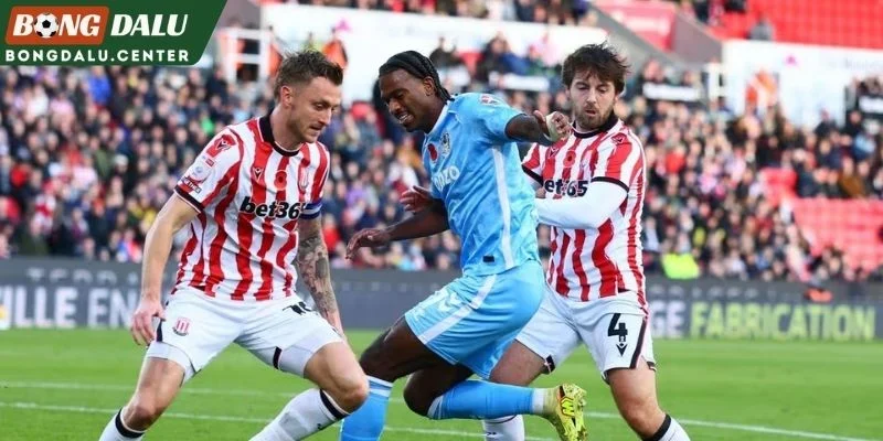 Phân tích tương quan Coventry City vs Brighton